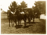 Horse carriage in the farm yard at Yallambie. (Source: Bill Bush Collection)