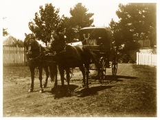Horse carriage in the farm yard at Yallambie. (Source: Bill Bush Collection)