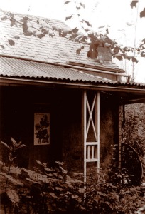 Verandah detail, (John T. Collins, Pictures Collection, State Library of Victoria).