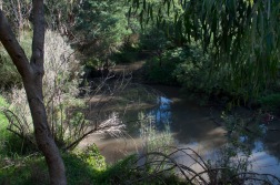 The Plenty River at Yallambie, June, 2018. (Picture by I McLachlan)