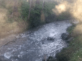 Morning mists on the Plenty River, September, 2019. (Picture GIF by I McLachlan)