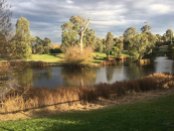 The pond at Streeton Views Reserve, Yallambie, May, 2020. (Picture by I McLachlan)