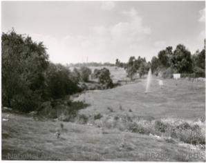 The Yallambie Creek (Adams Gully) in 1978. (Source: National Archives of Australia, item no. 30745413)